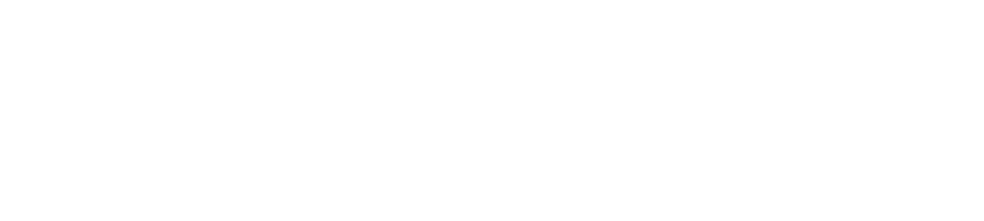 Softxmind Logo Light Version